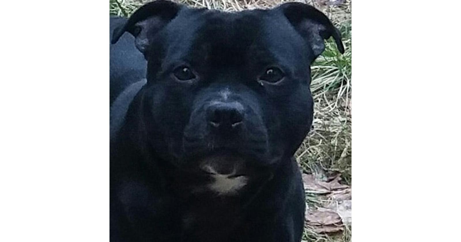 Uki / Hannele Kontkanen