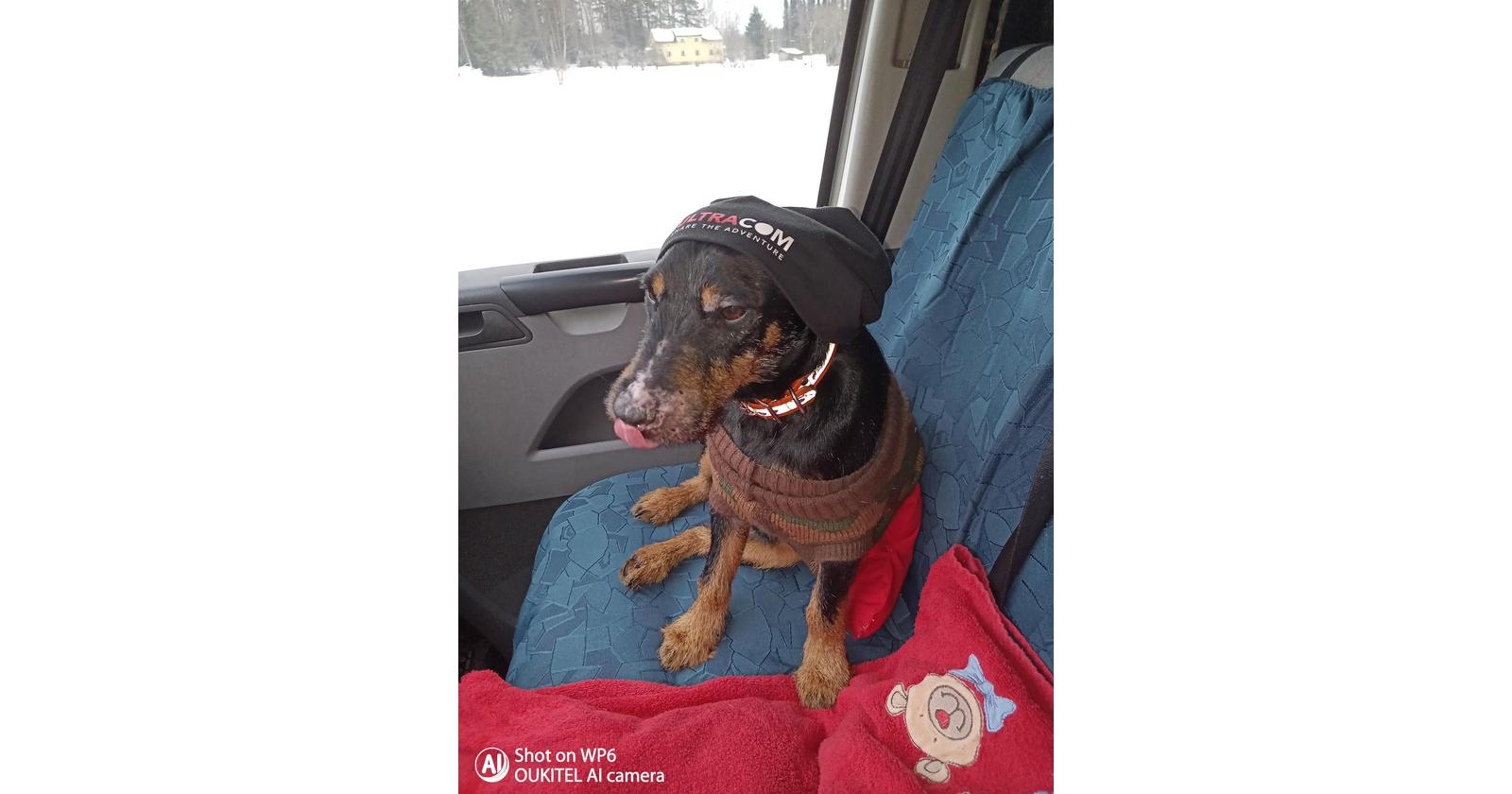 Mörri / Jussi Näsi