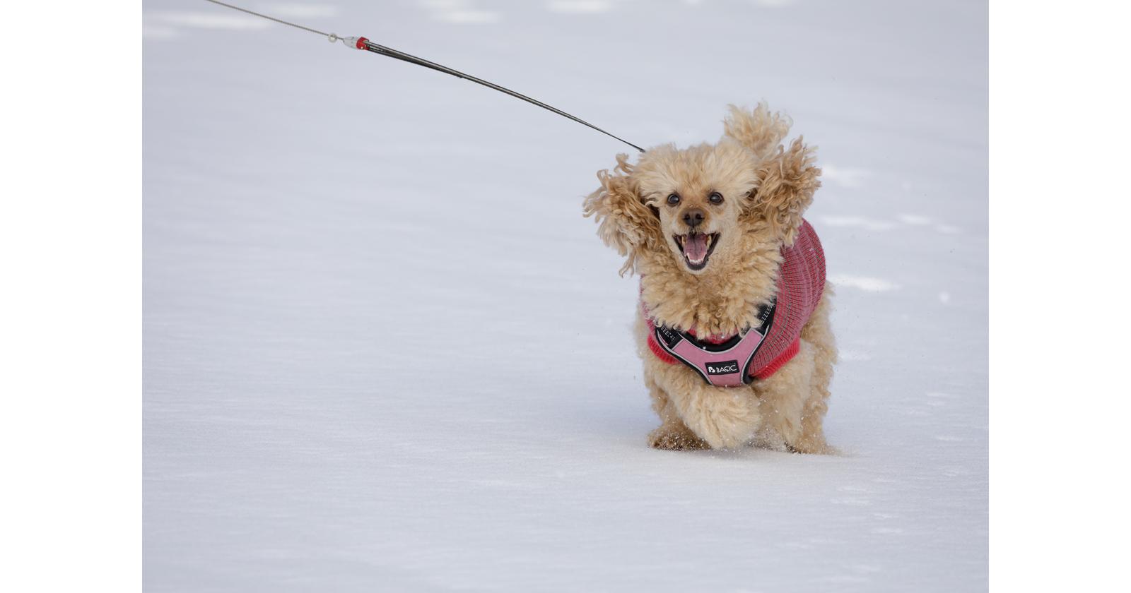 Hilla / Kari Paukola