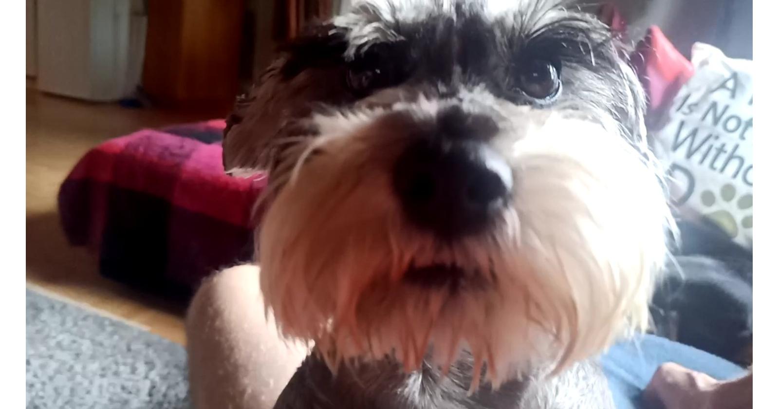 Lotta / Jussi N&auml;si